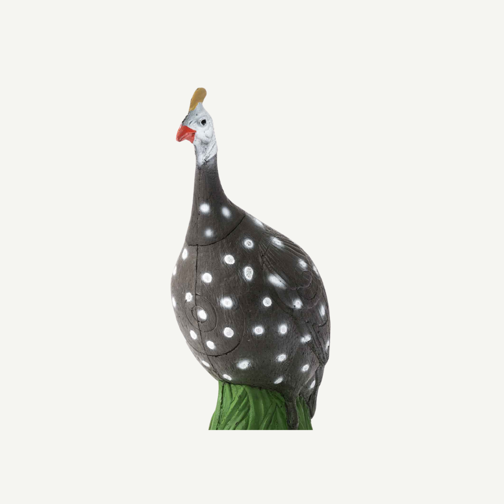 IBB 3D Tier Perlhuhn