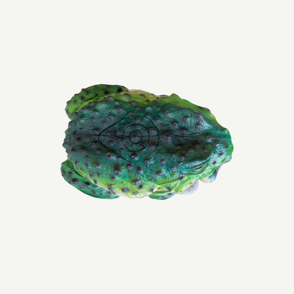 Leitold SnakeEater