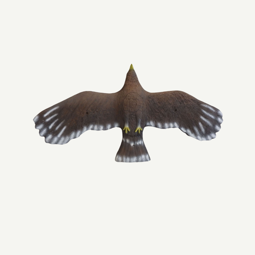 Leitold Steinadler fliegend