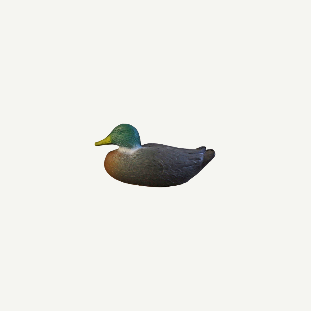 Leitold Ente