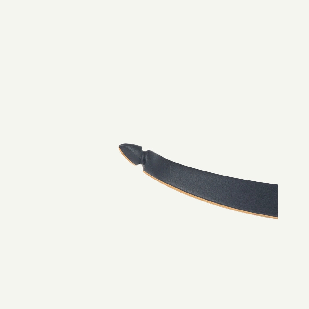 Bodnik Slick Stick Black Recurve Bogen