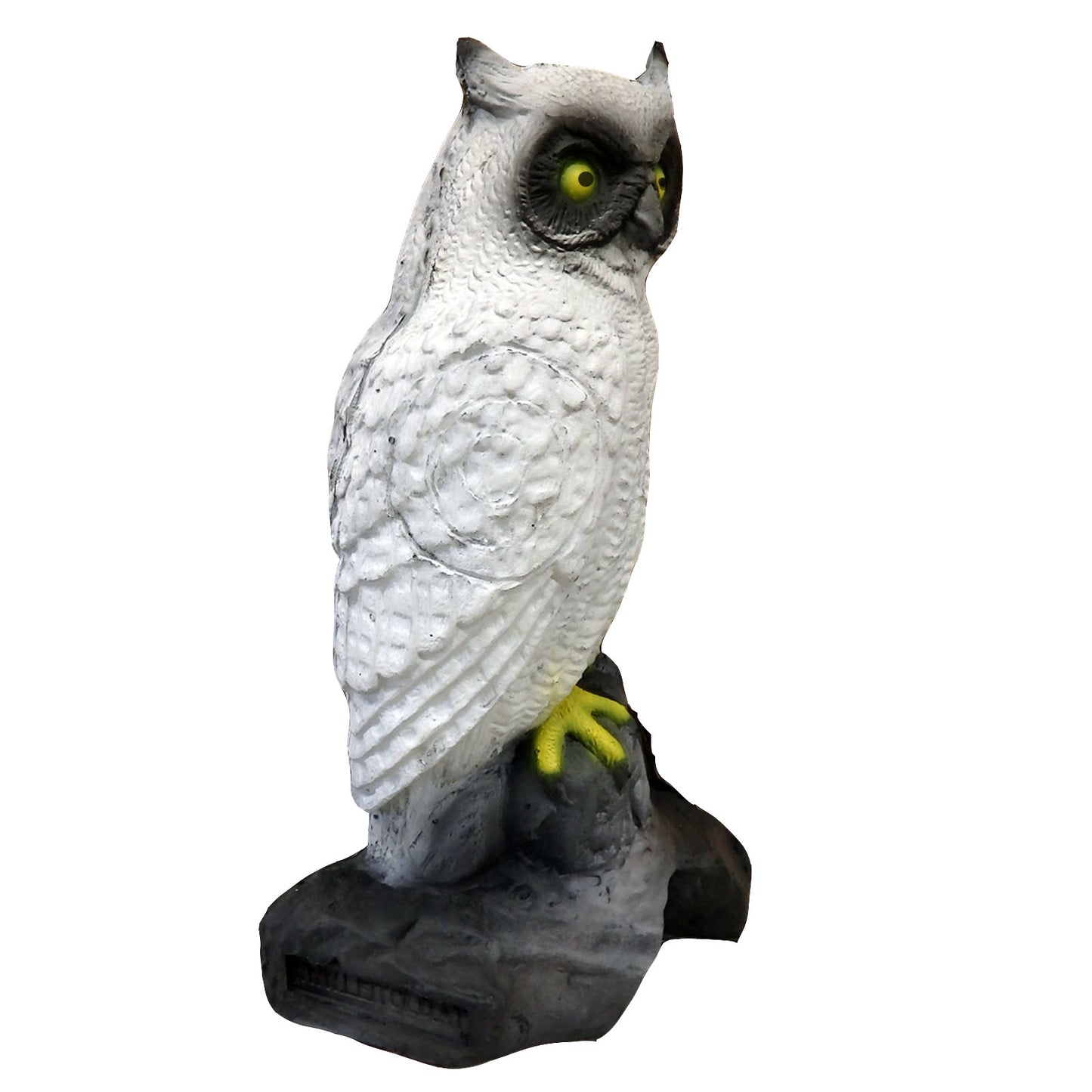 100212 Leitold Snow Owl