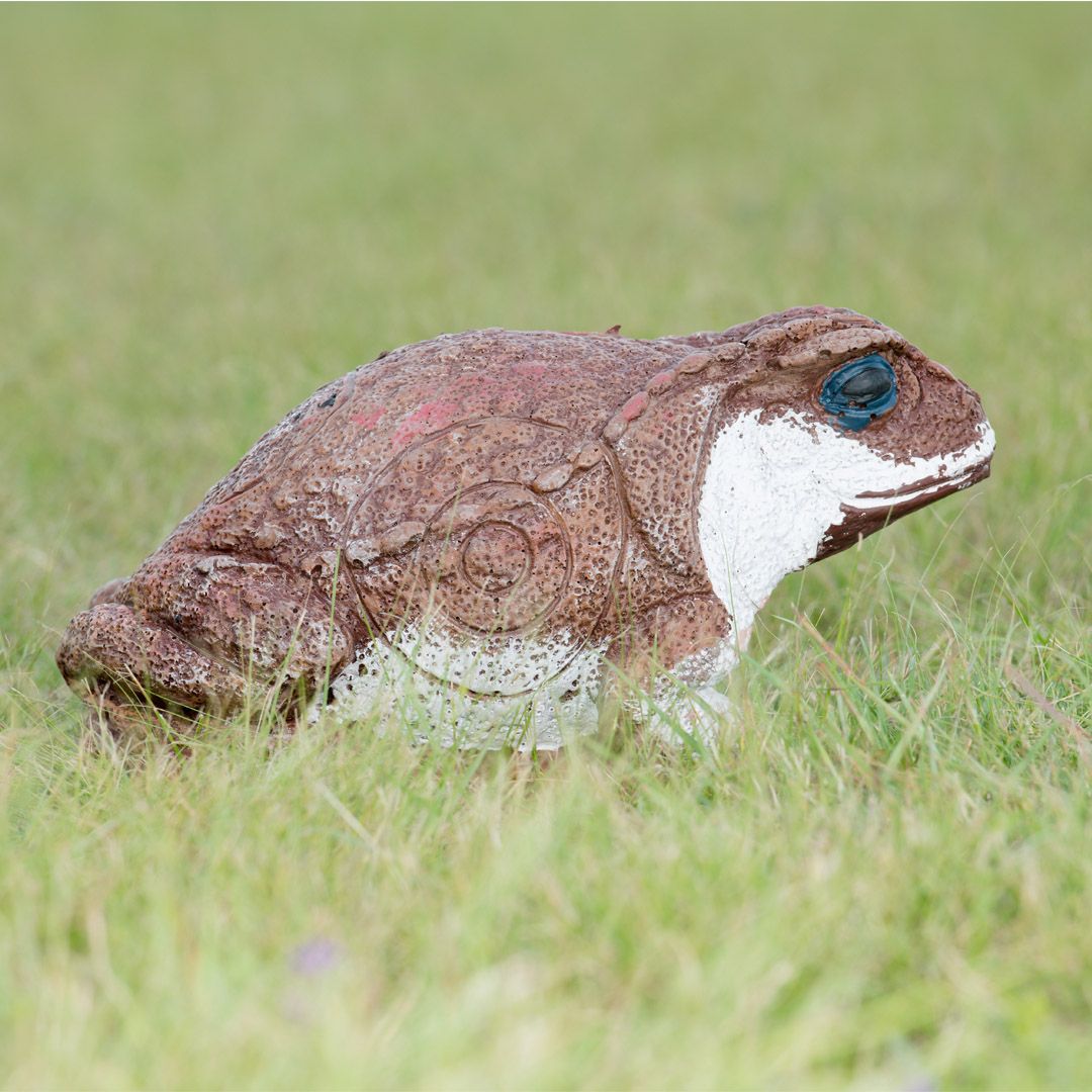 100981 Wildcrete 3D Target - Aga - Kröte