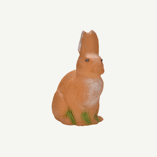 100407 IBB 3D European hare