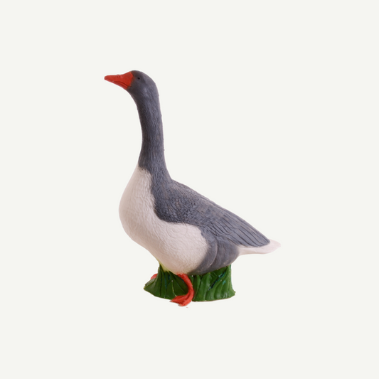 100426 IBB 3D target Greylag goose