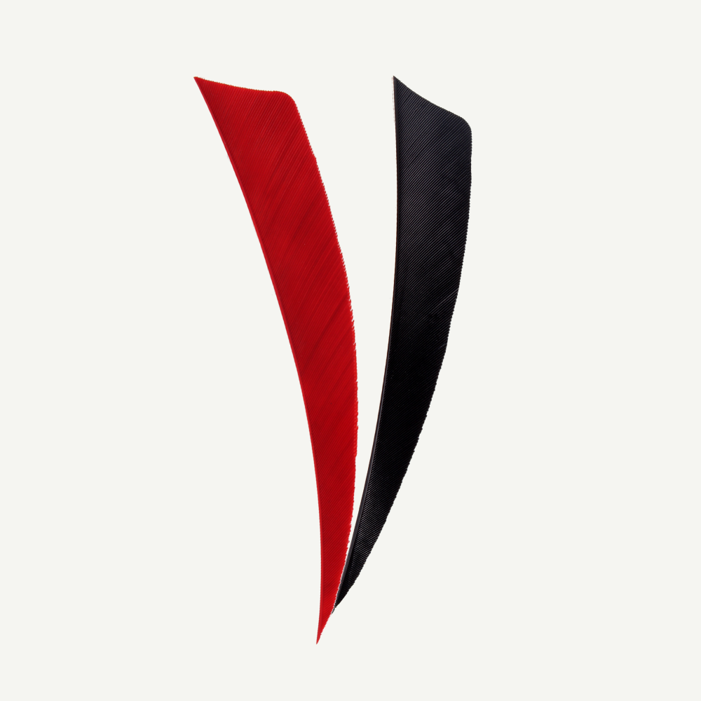 100528 Länder | Federn Set Albanien