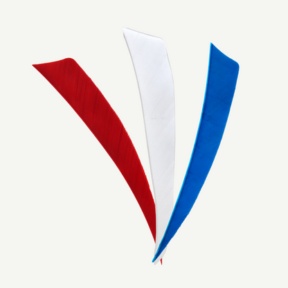 100528 Länder | Federn Set