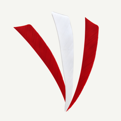 100528 Länder | Federn Set Schweiz