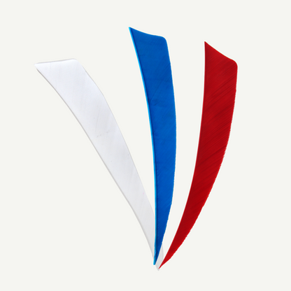 100528 Länder | Federn Set Slowenien