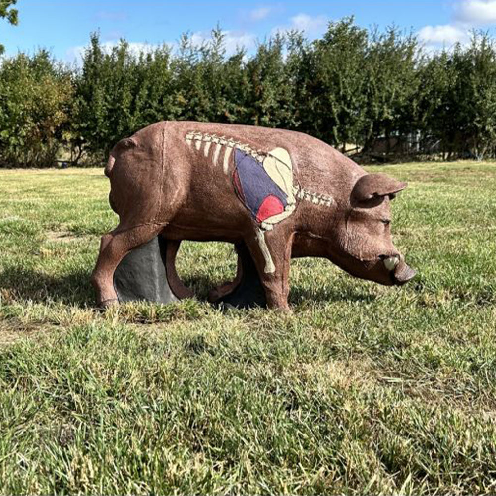 101231 Wildcrete 3D Target - Wildschwein Vital Braun