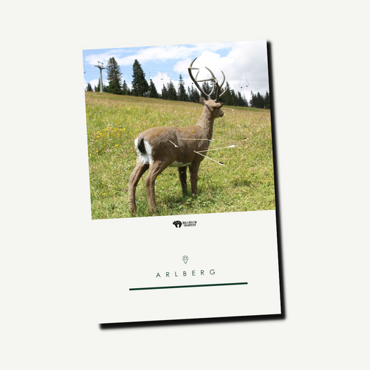 Tageskarte Kinder | Arlberg