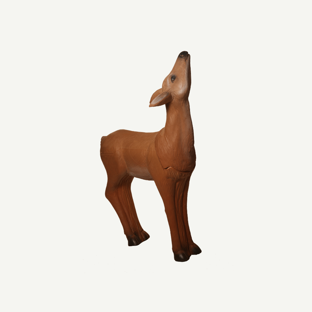 Longlife äsendes Reh