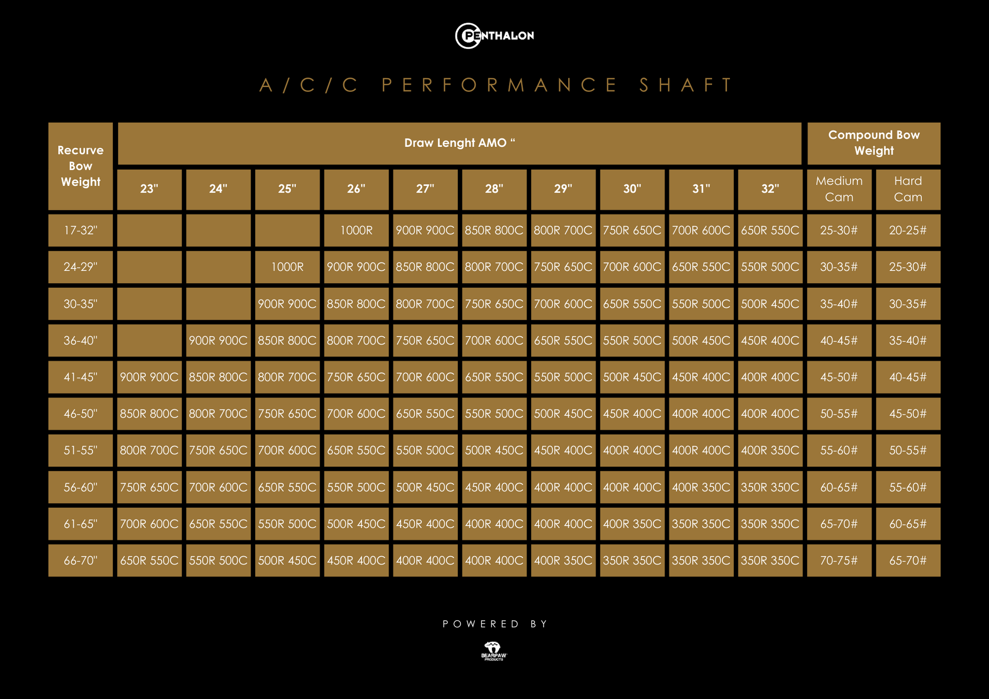 Penthalon Performance A/C/C Aluminium-Carbon Schaft (12 St.)