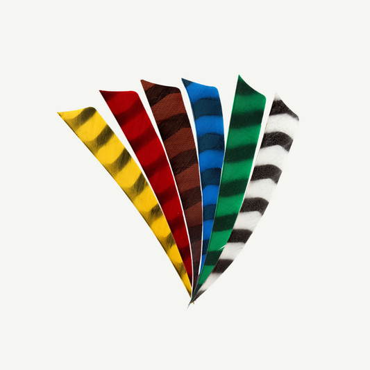 Feder RW Shield 3 Zoll barred