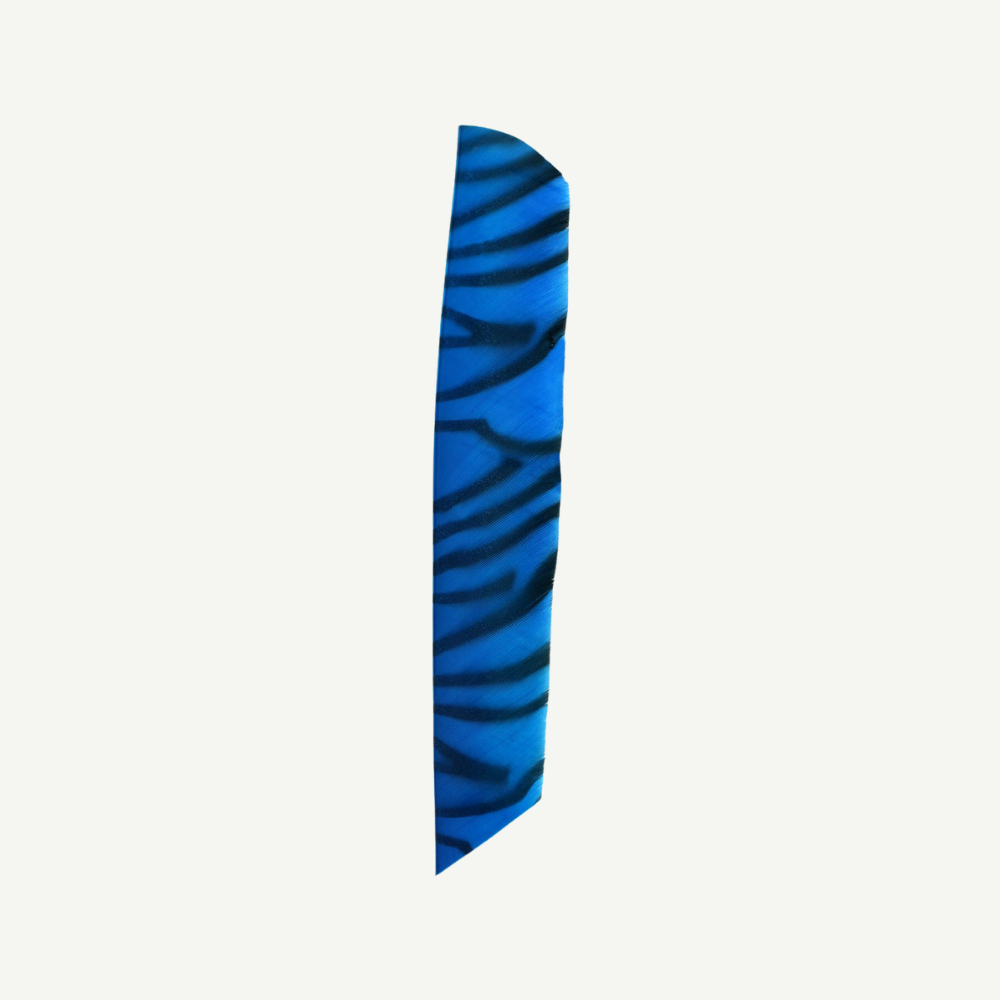 Feder RW Volle Länge zebra blau schwarz