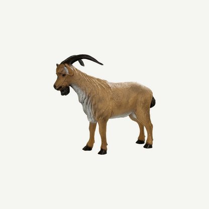 3D Tier Franzbogen Bergziegenbock