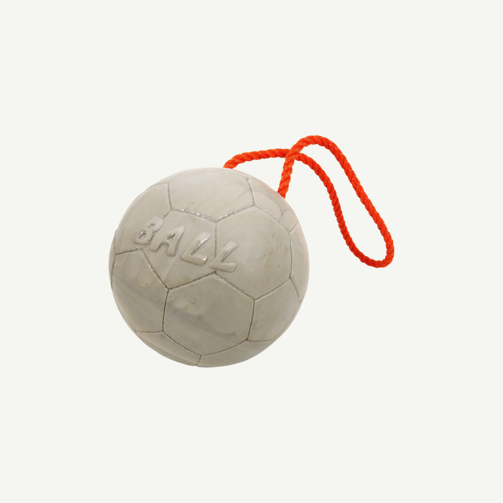 Longlife Ball