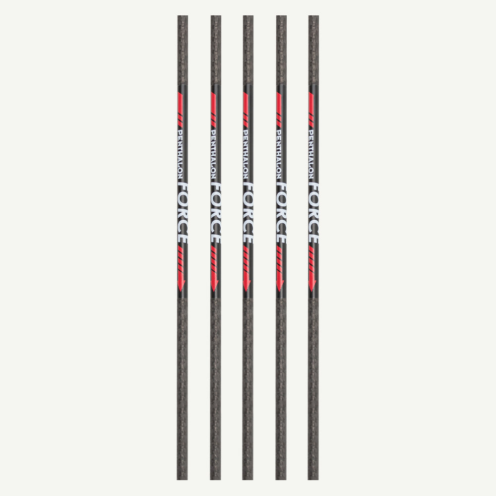 Penthalon Carbonschäfte Force 500