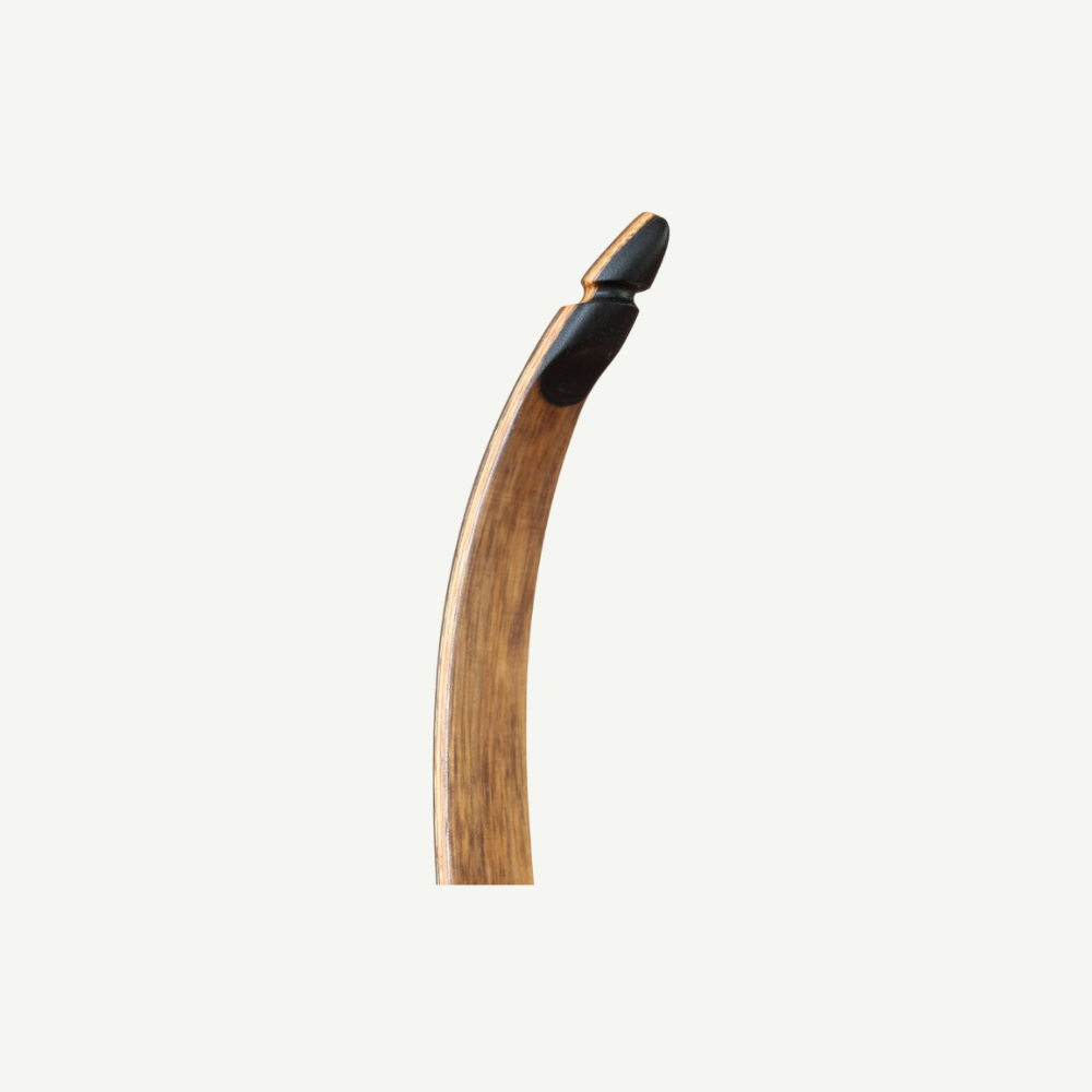 Bodnik Eagle Recurve Bogen