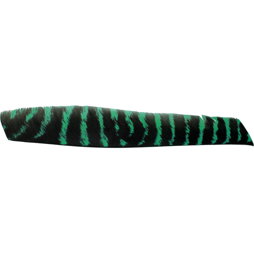 Feder RW Volle Länge naturgestreift grün