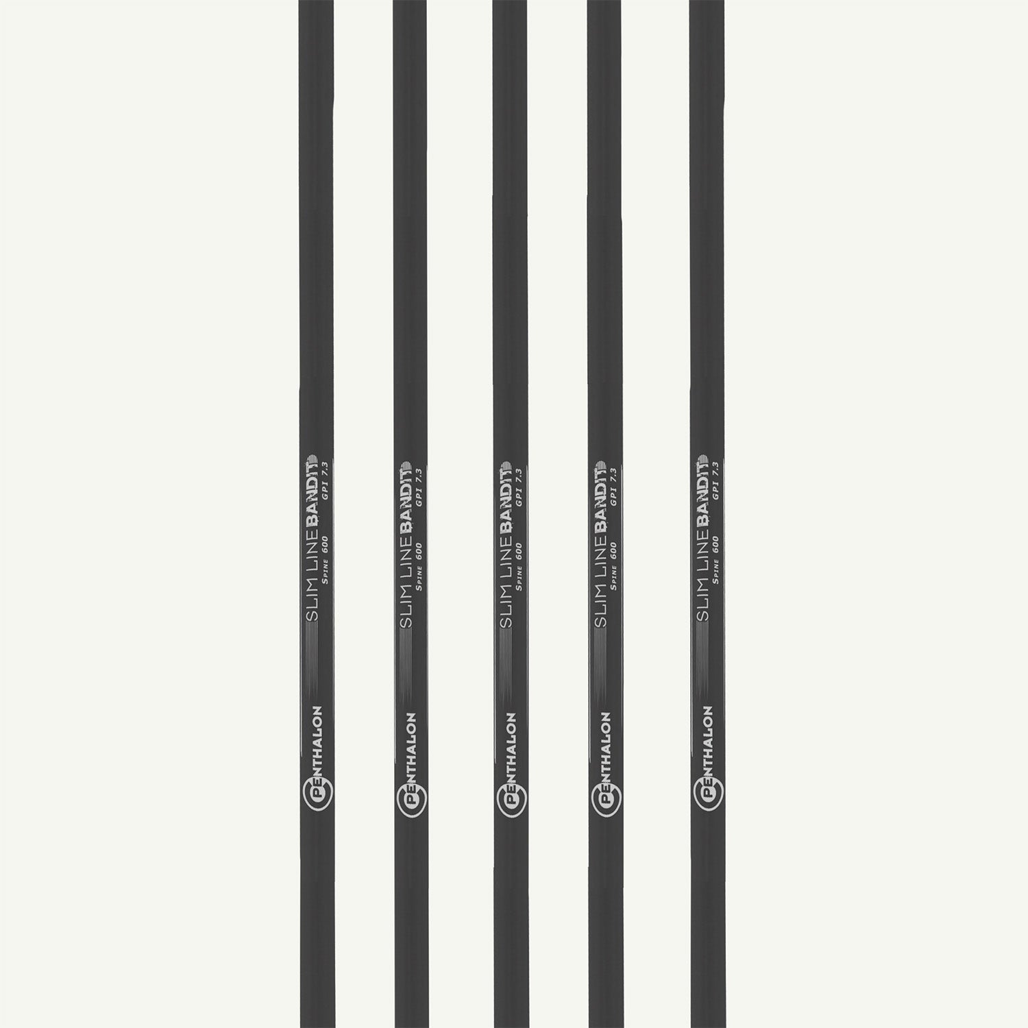 Penthalon Carbonschäfte Bandit Slim Line