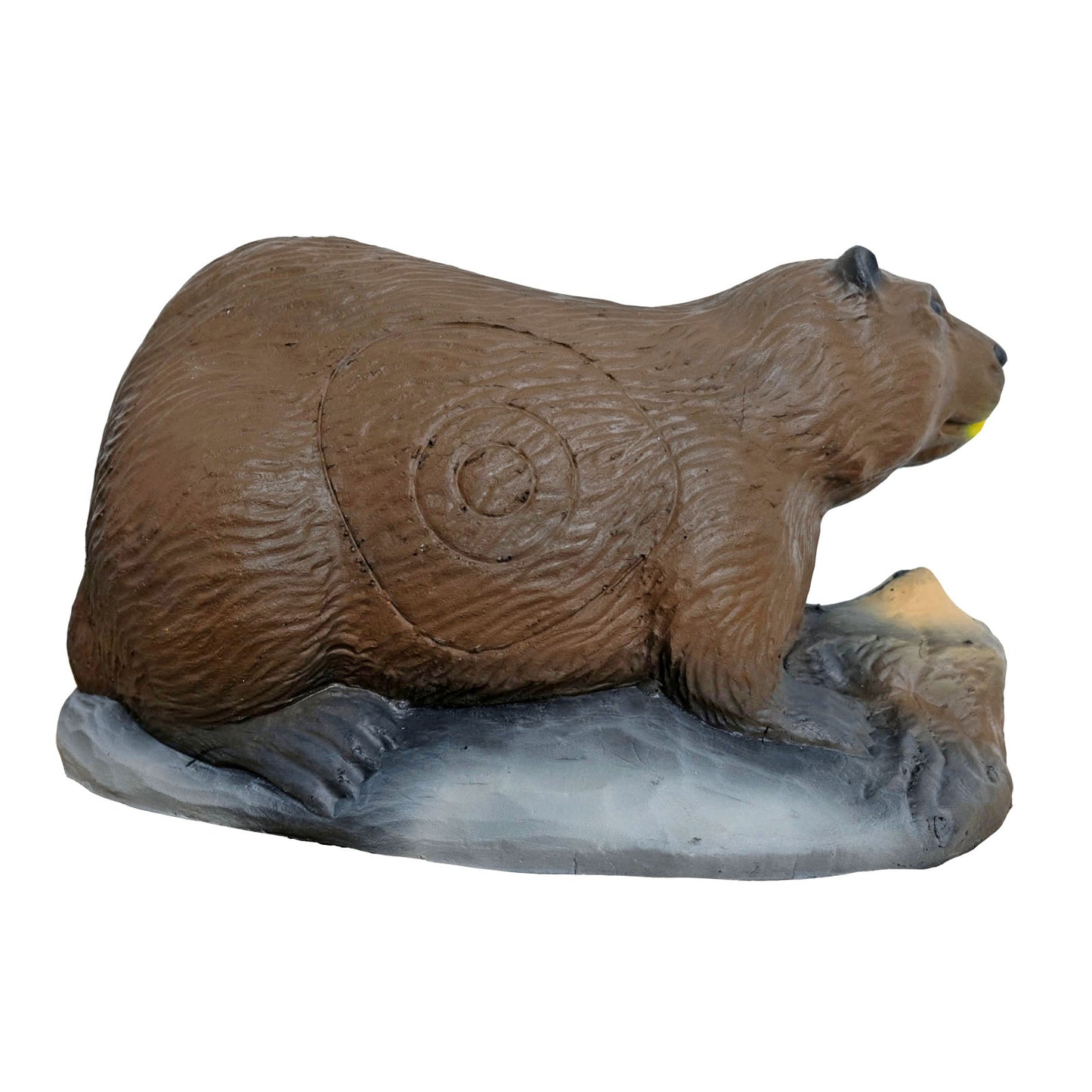 100204 Leitold Beaver