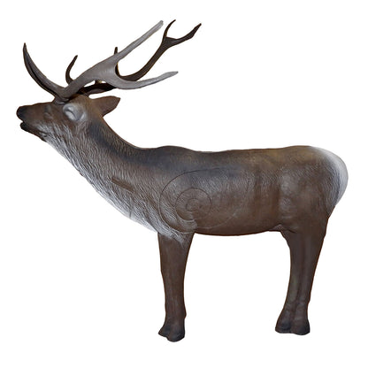 100206 Leitold Red Deer