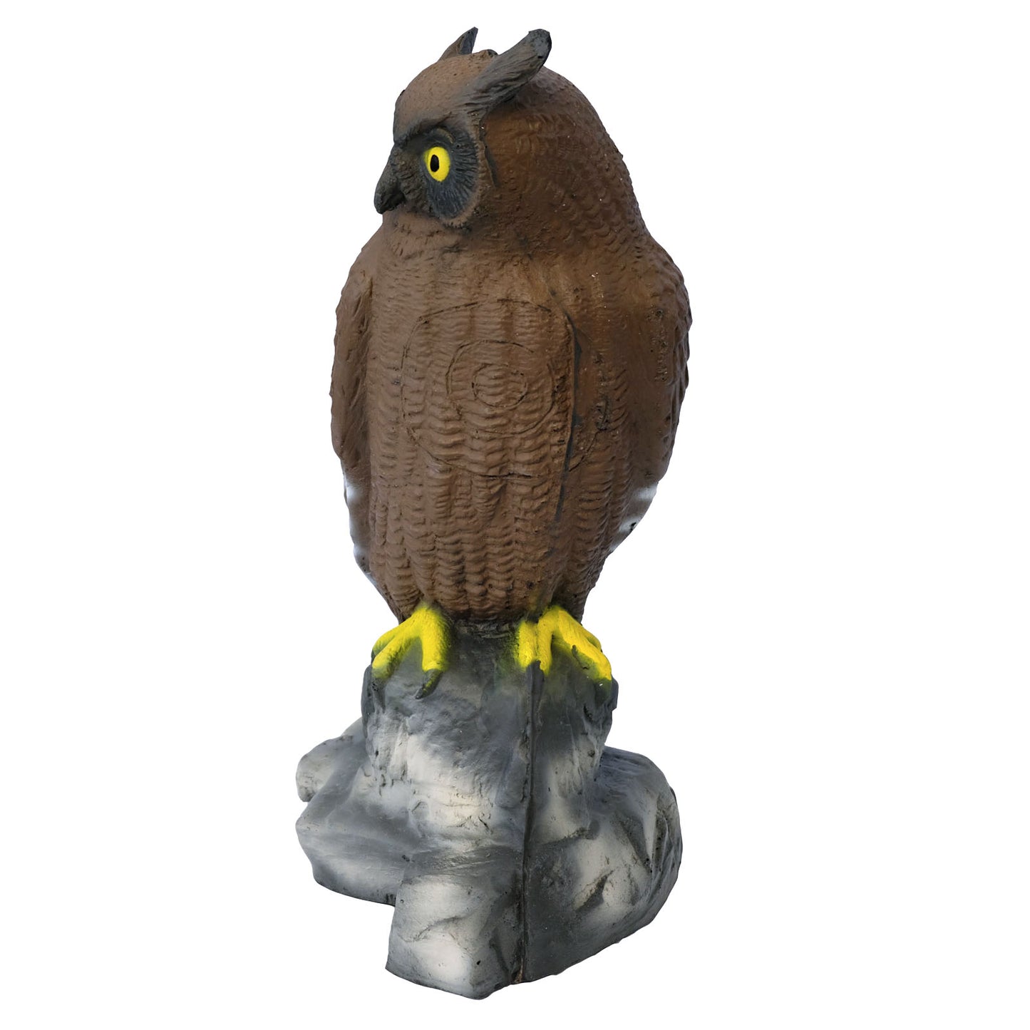 100209 Leitold Eagle Owl