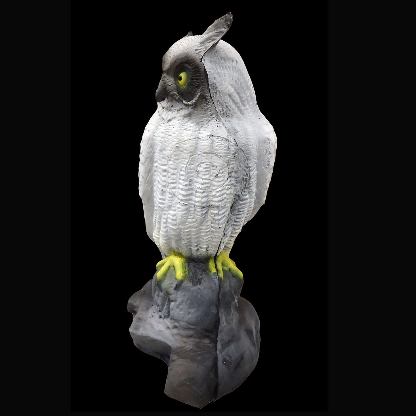 100212 Leitold Snow Owl