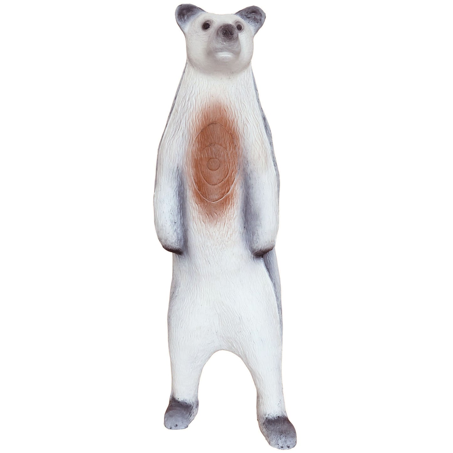 100216 Leitold Polar Bear