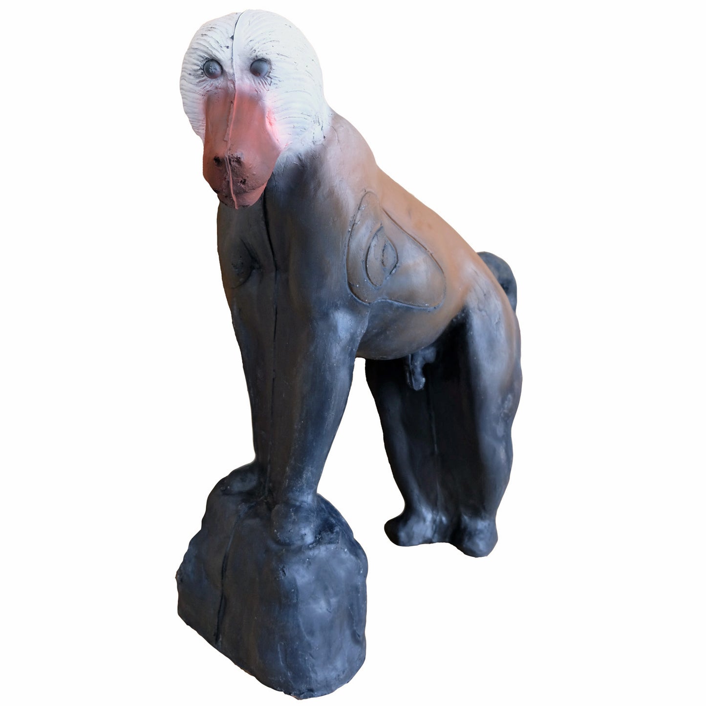 100222 Leitold Baboon