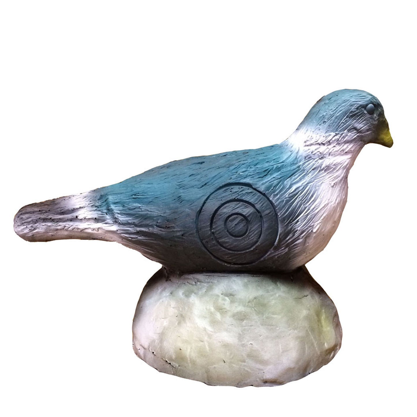 100223 Leitold Pigeon