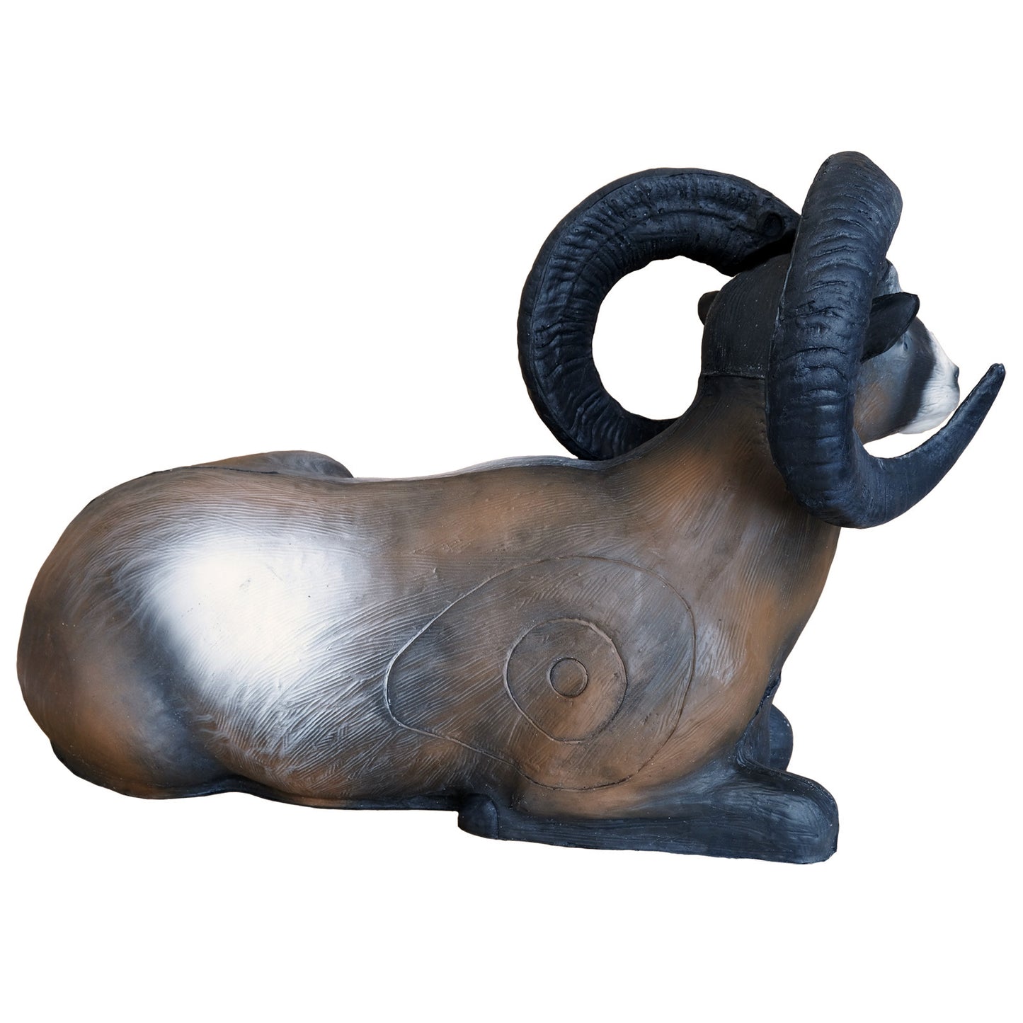 100229 Leitold Bedded Mouflon