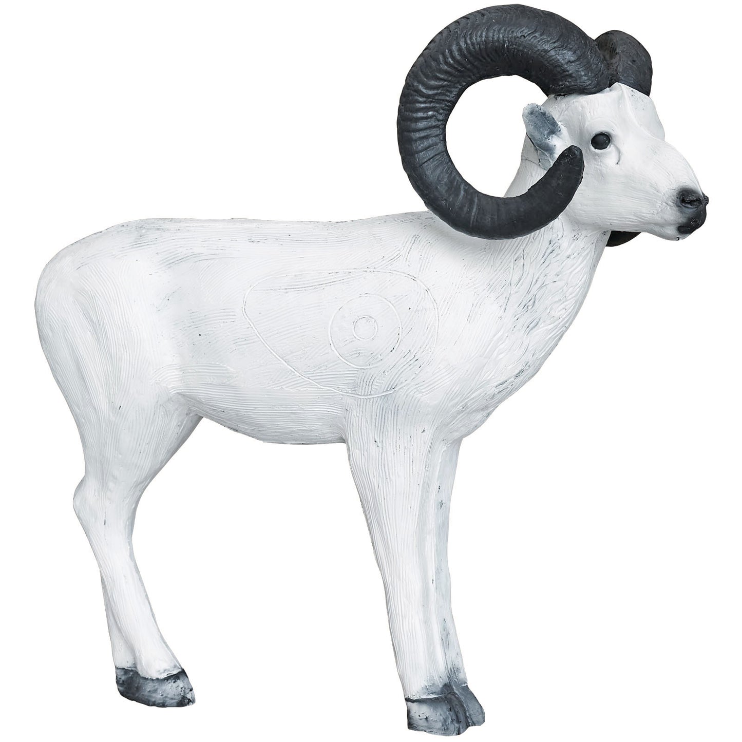 100241 Leitold Standing Dall Sheep
