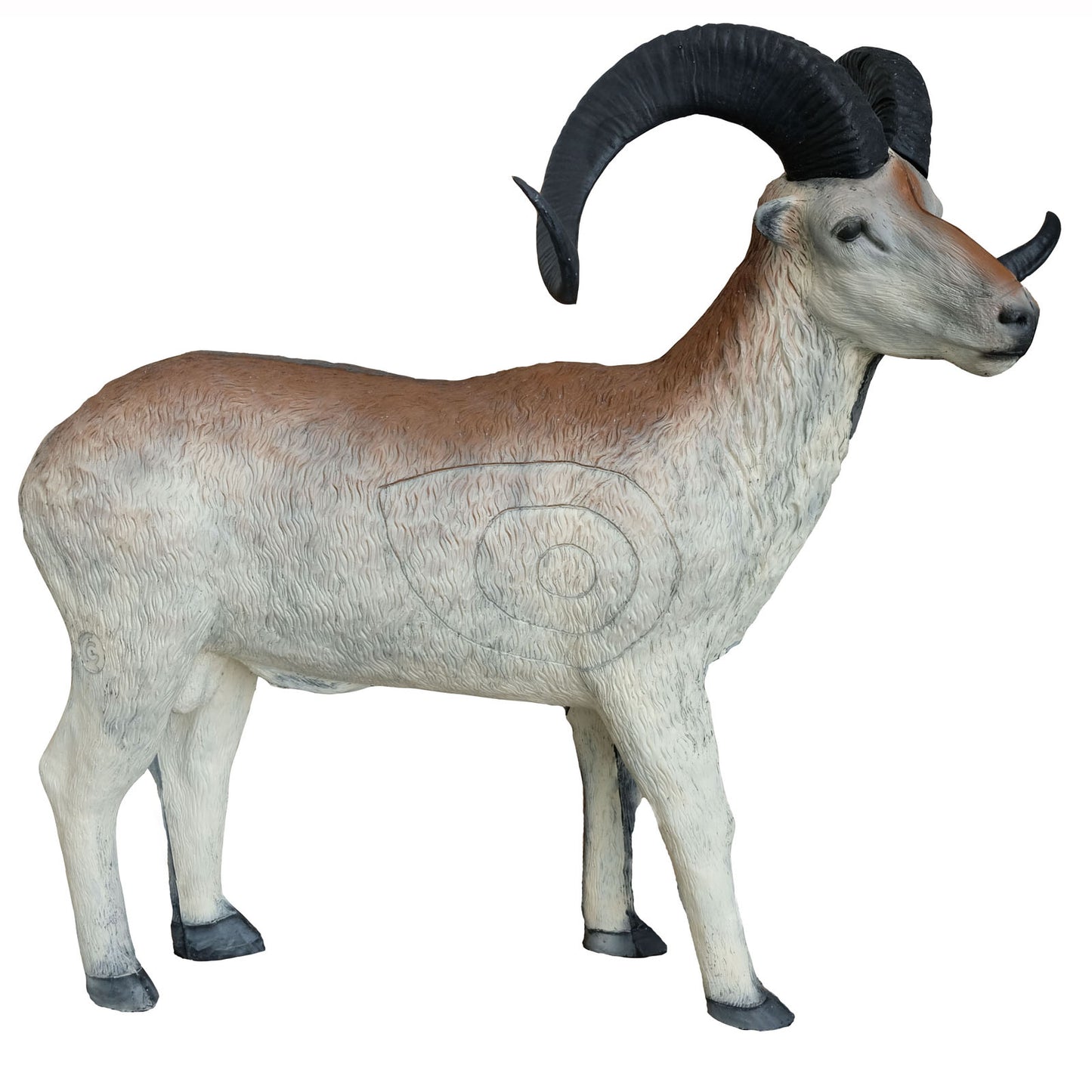 100275 Leitold Marco Polo Sheep