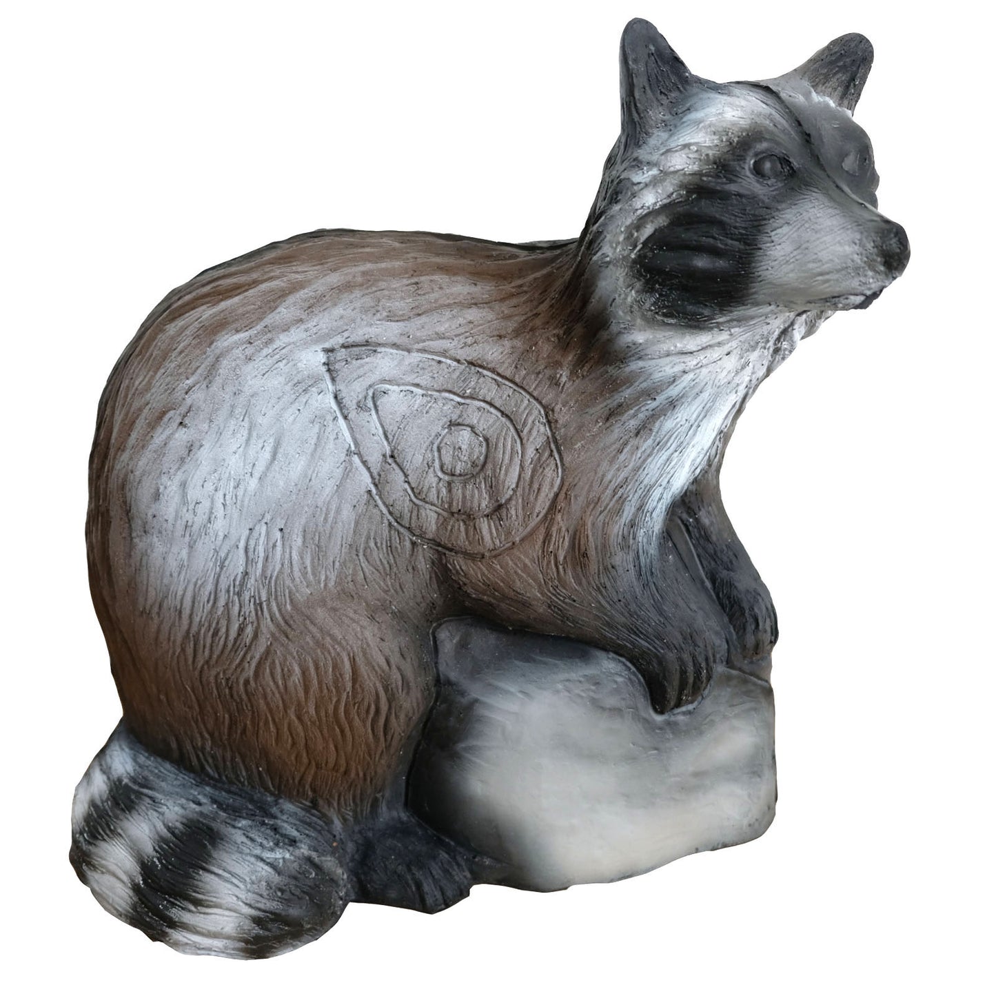 100279 Leitold Racoon