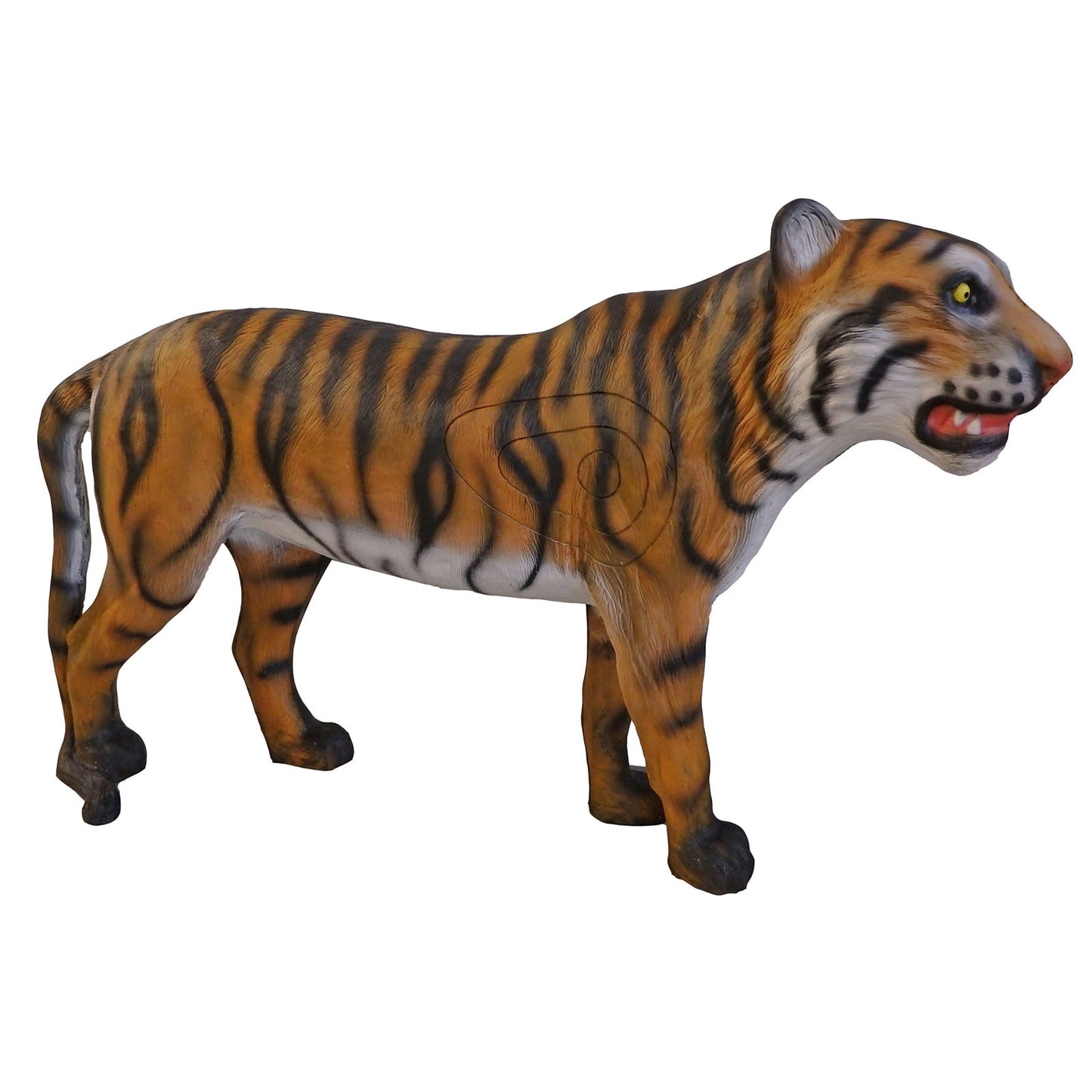 100291 Leitold Tiger