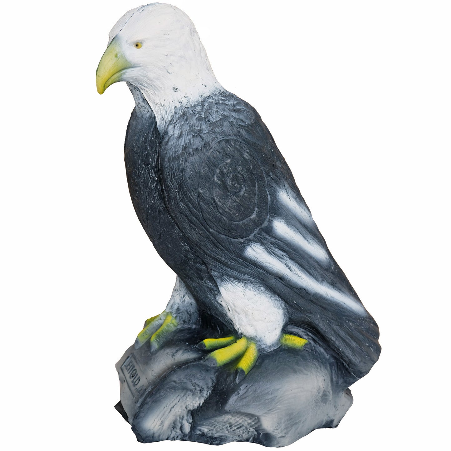100306 Leitold Sitting Bald Eagle
