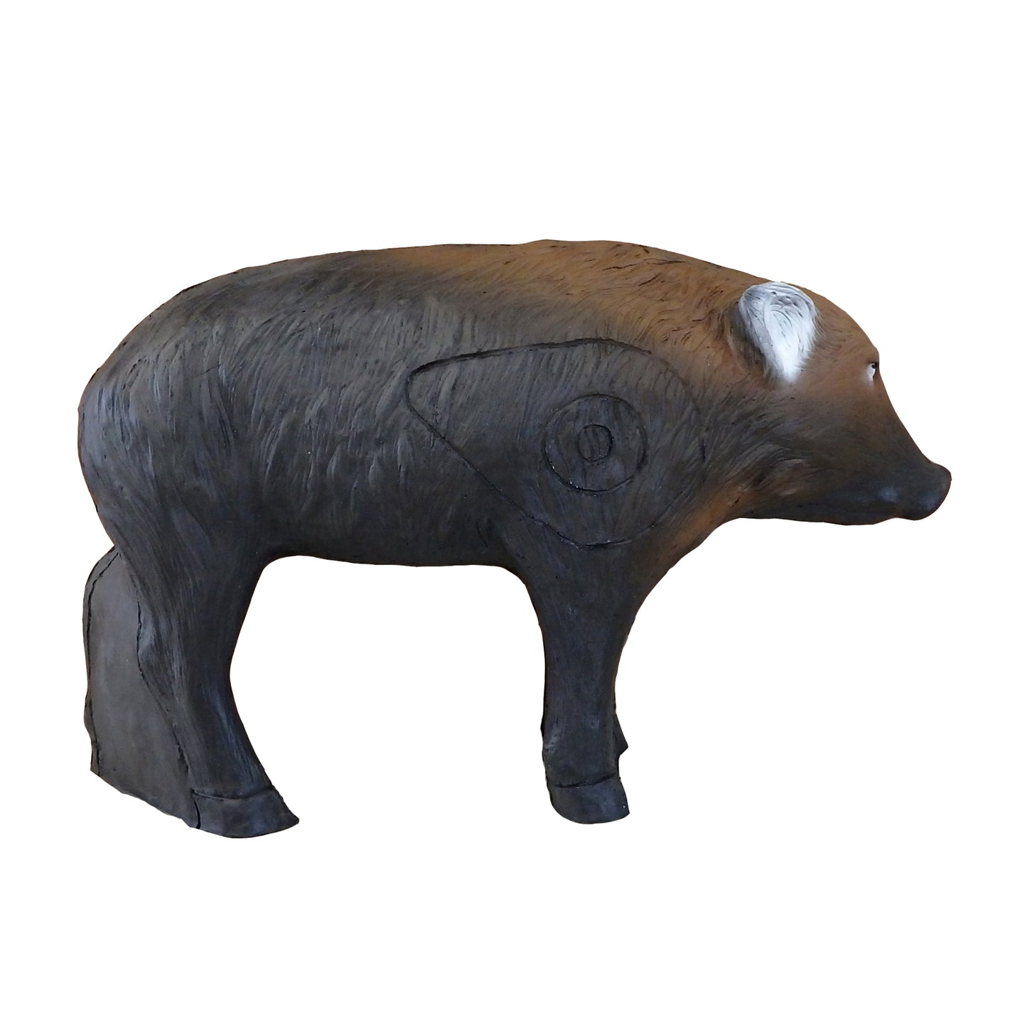100315 Leitold Young Wild Boar