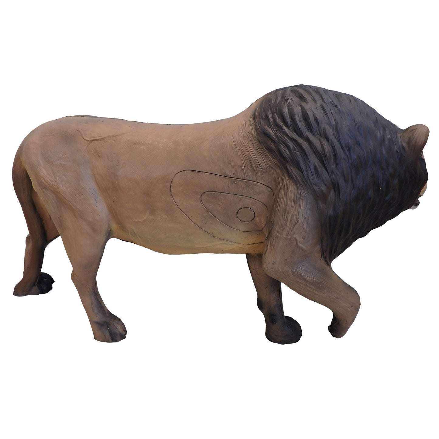 100324 Leitold Lion