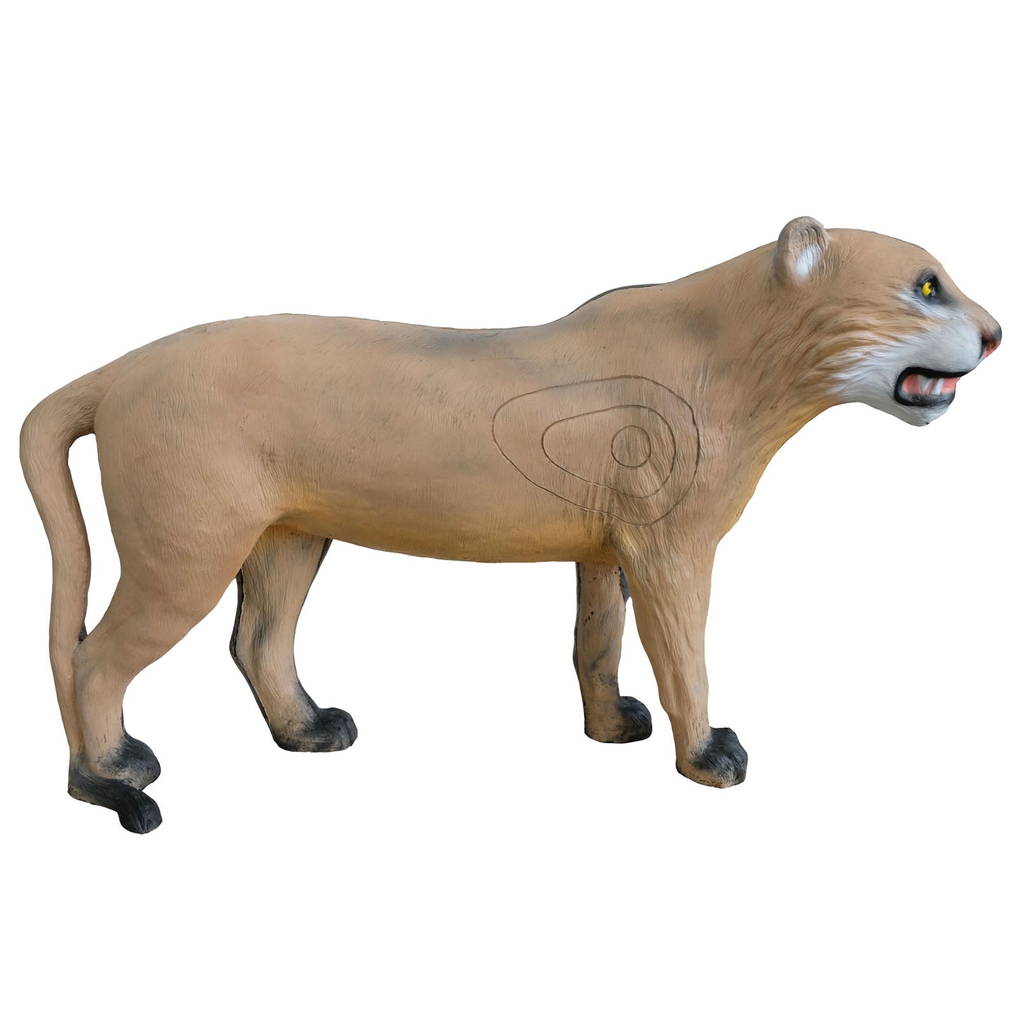 100325 Leitold Lioness