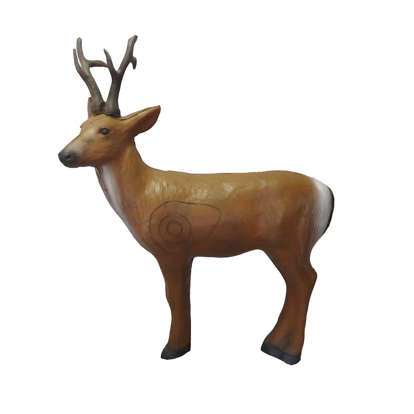 100334 Leitold Sibirian Buck