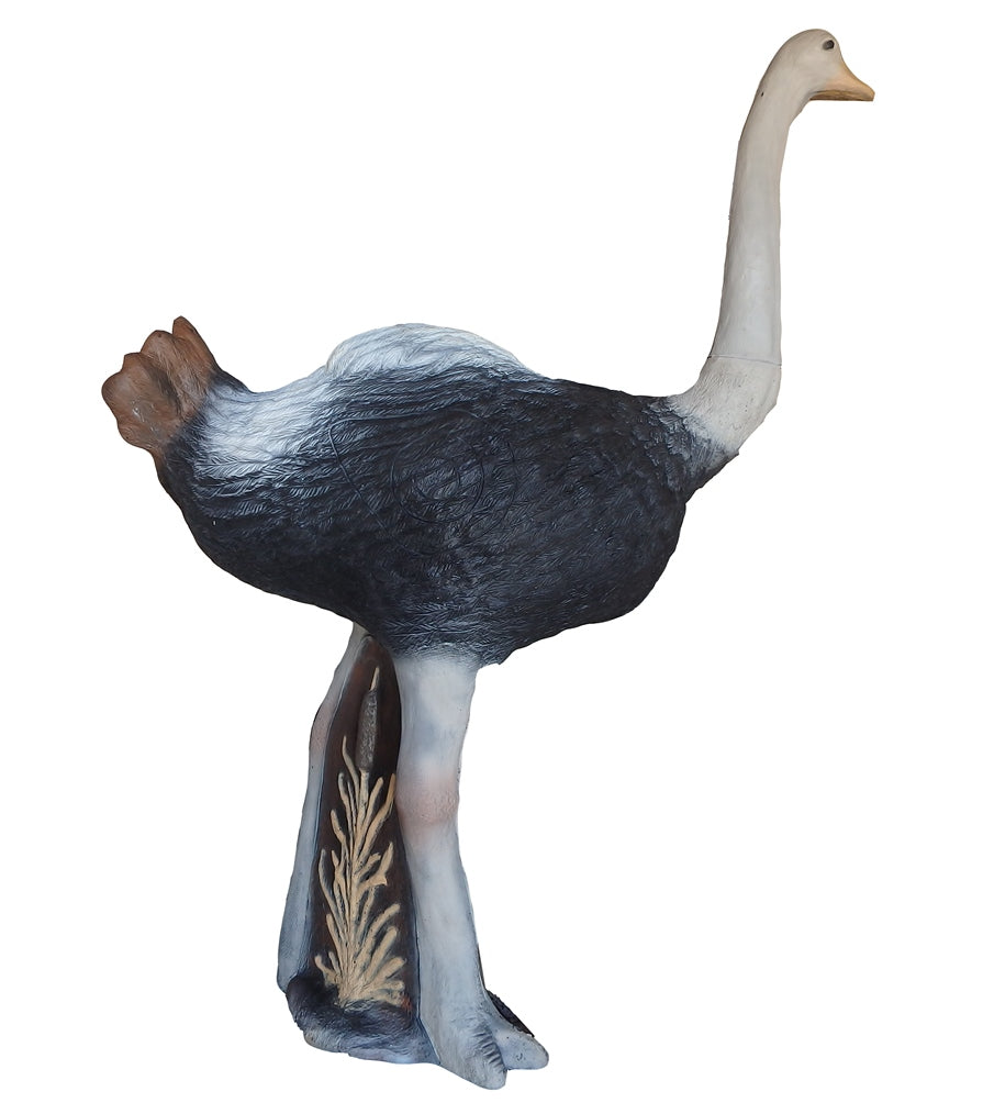100337 Leitold Ostrich