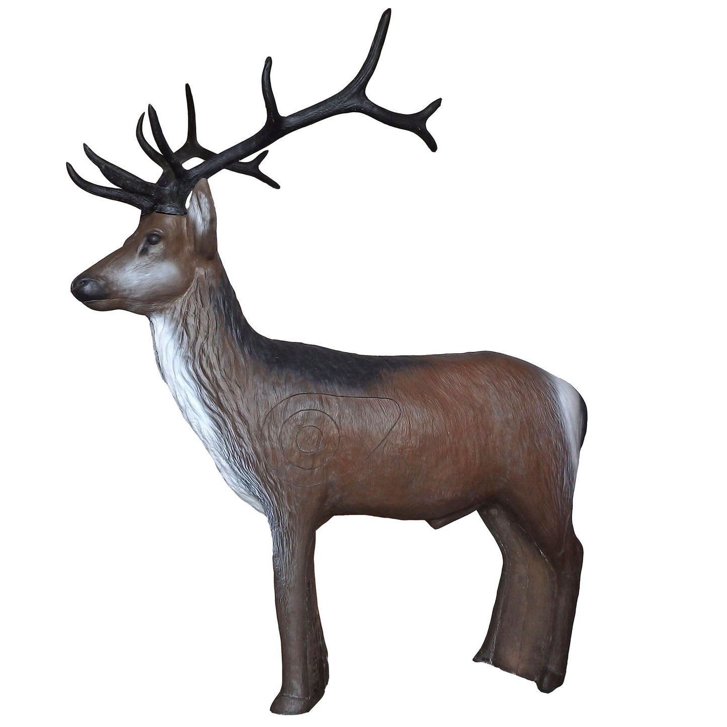 100340 Leitold Standing Red Deer