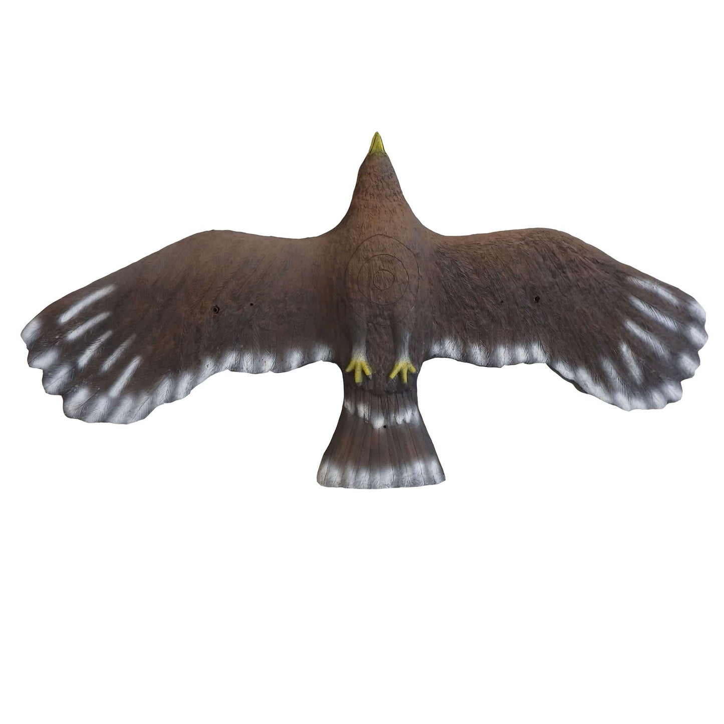 100352 Leitold Flying Golden Eagle