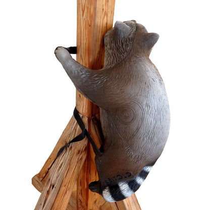 100367 Leitold Climbing Racoon with lashing straps