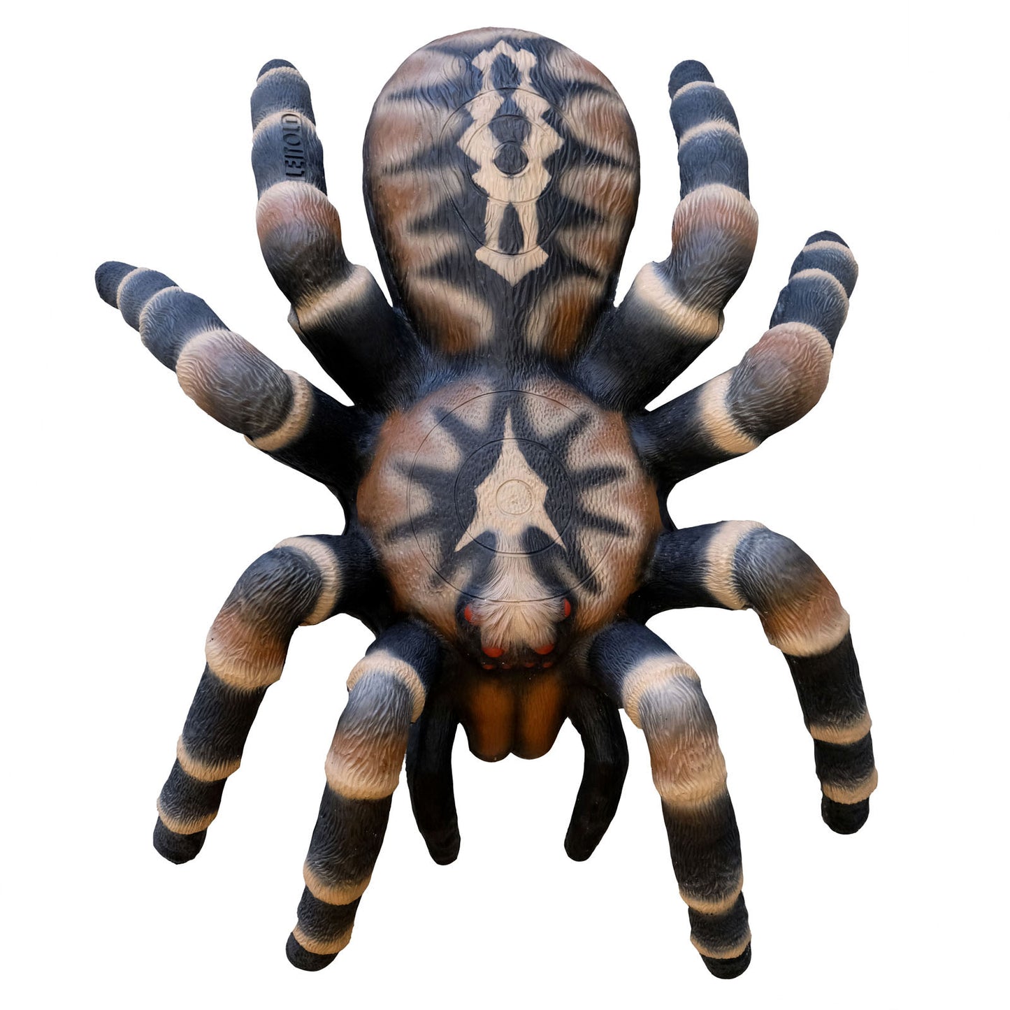 100370 Leitold Bird Spider
