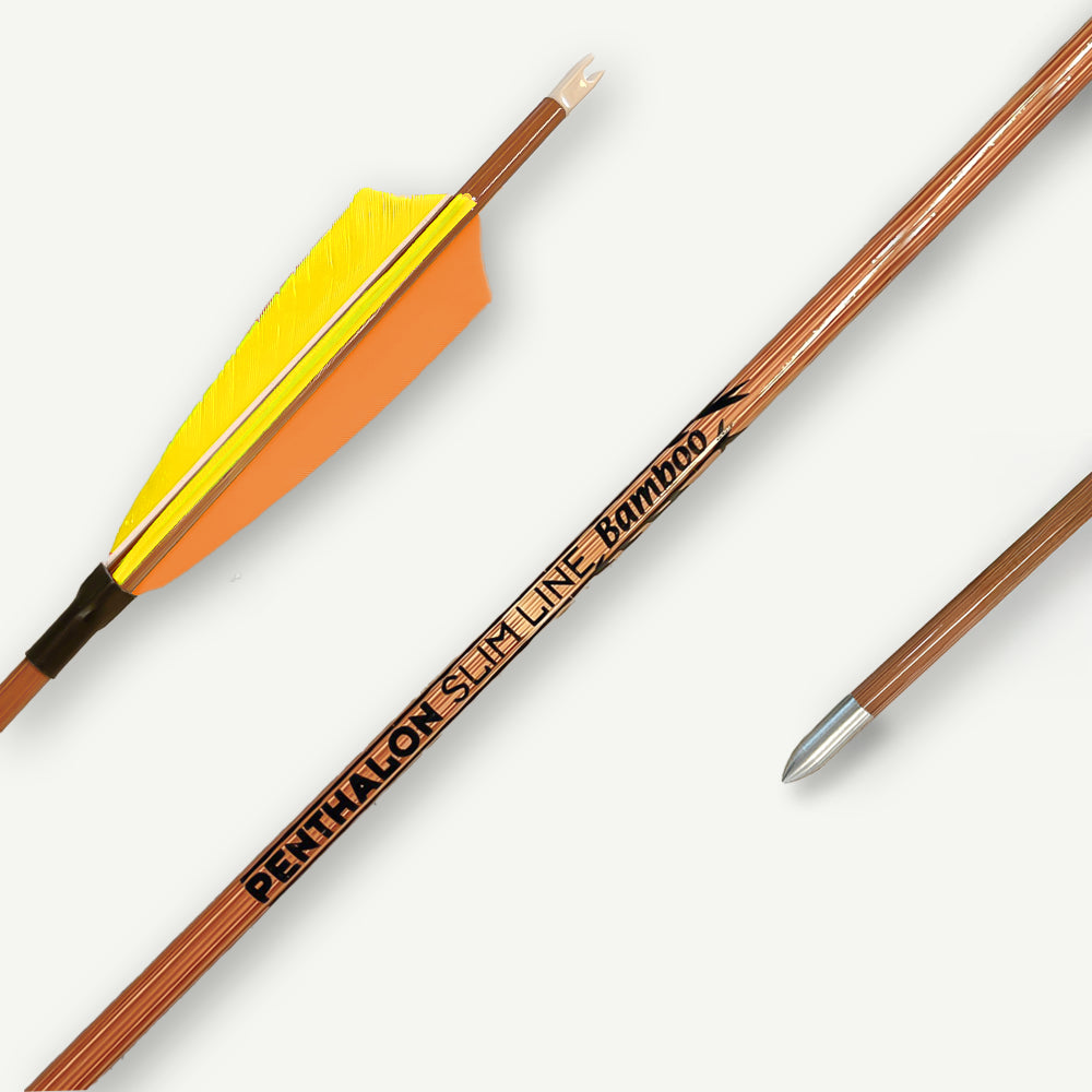 Penthalon Carbonpfeile Slim Line Bamboo Naturfedern