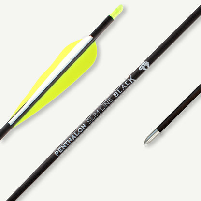 Penthalon Carbonpfeile Slim Line Black Fletches