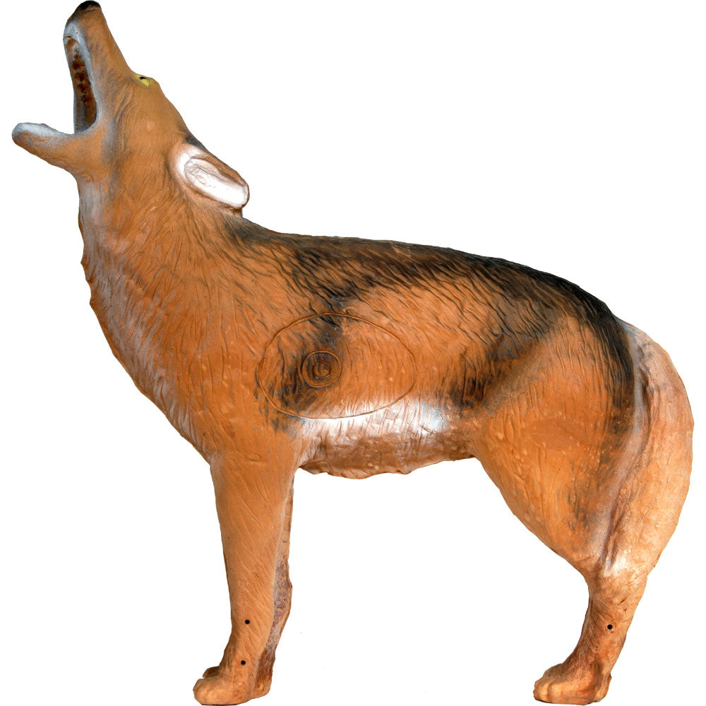 50535 Howling Coyote